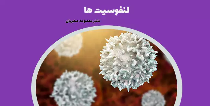 لنفوسیت ها